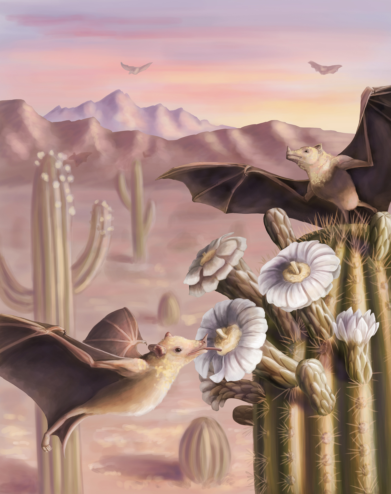 Lesser Long-Nosed Bat